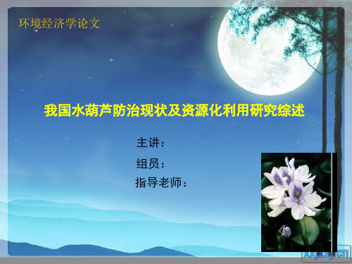 外来物种入侵(水葫芦)PPt