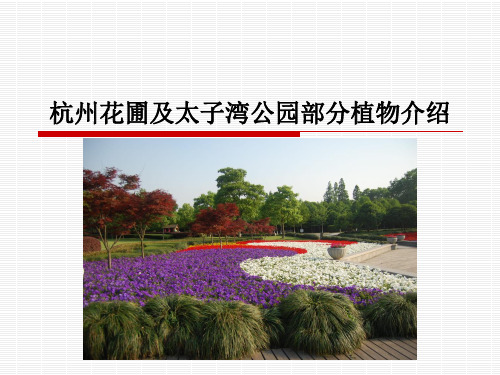 杭州花圃、太子湾部分植物介绍