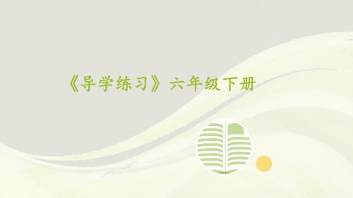 人教版六年级数学下册单元检测导学案课件PPT3统计与概率第3课时