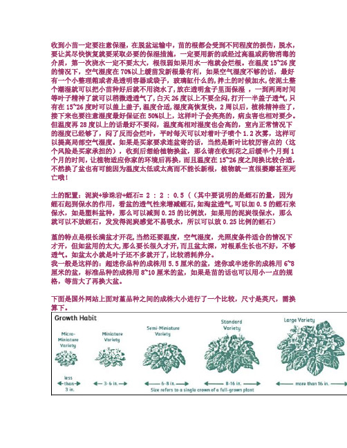 坠入人间的精灵---非洲堇(包括了欣赏养殖特性等的一篇简介)