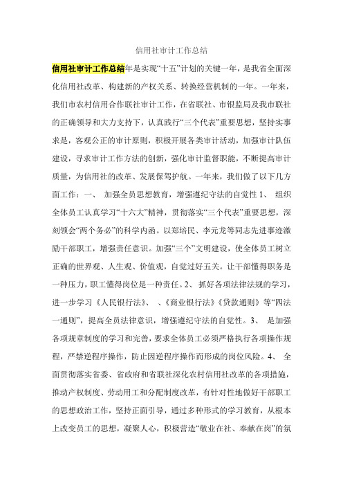 信用社审计工作总结