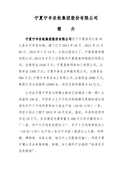 宁羊集团简介(1)