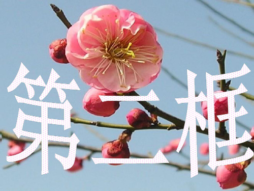 伟大的变革PPT课件