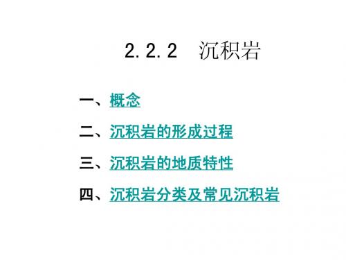 《工程地质》沉积岩