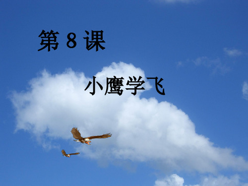 二年级语文上册第8课小鹰学飞苏教版精品 课件 