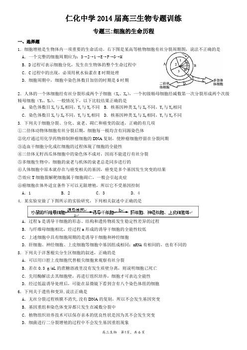 专题三：细胞的生命历程