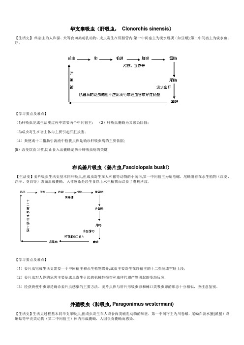 医学寄生虫生活史要点 重点 考点