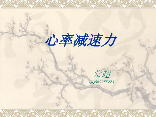 心率减速力