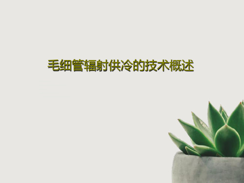 毛细管辐射供冷的技术概述24页PPT