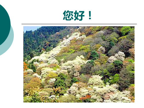 宗教学原理