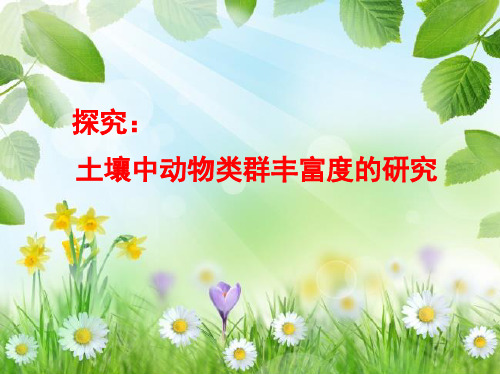 探究：土壤中小动物类群丰富度的研究