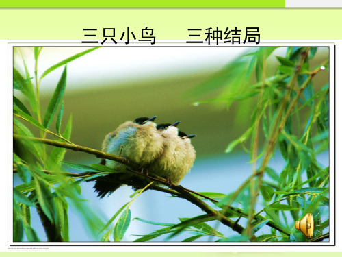 最新人教版九年级思想品德全册课件正确对待理想与现实PPT
