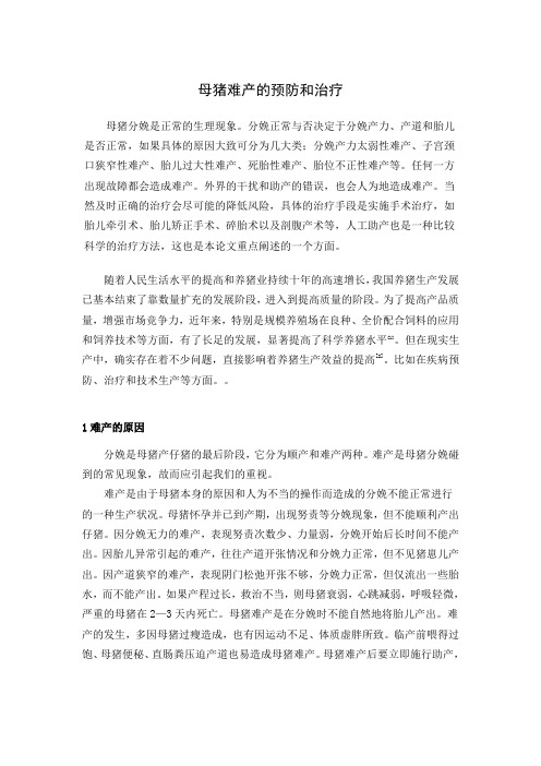 母猪难产的预防和治疗