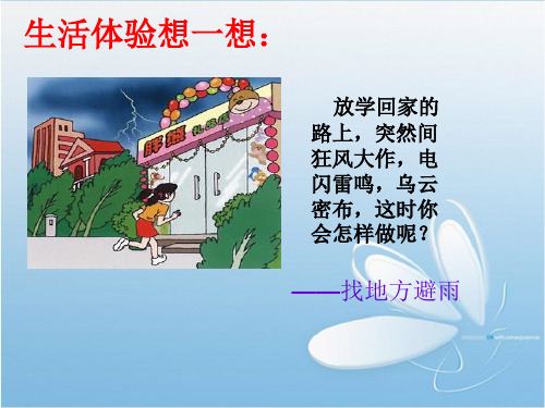 七年级生物  眼与视觉ppt课件