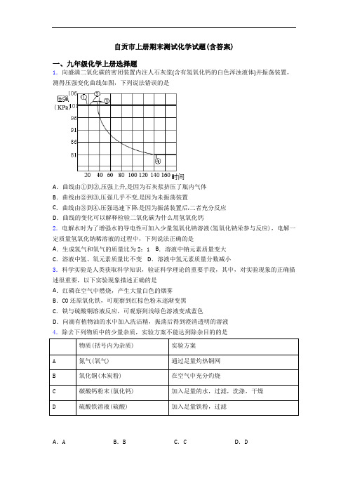 自贡市初三化学上册期末测试化学试题(含答案)