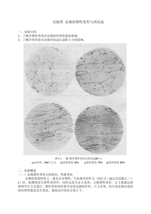 实验-金属的塑性变形与再结晶