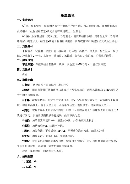 革兰染色与抗酸染色操作规范