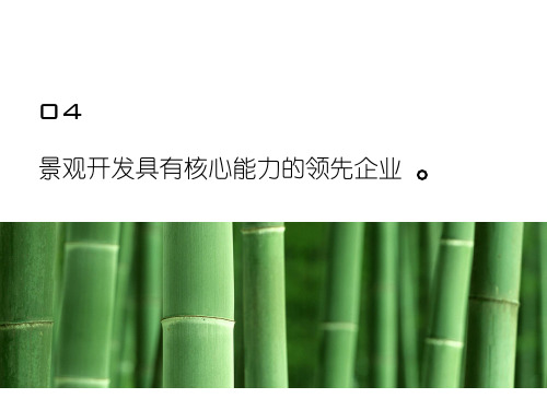 两个国内代表性房地产景观解析.ppt