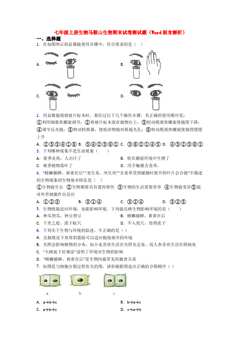 七年级上册生物马鞍山生物期末试卷测试题(Word版含解析)