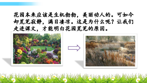 冀教语文五年级下册11 荒芜了的花园