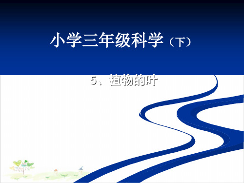 三年级上册科学-植物的叶教科版