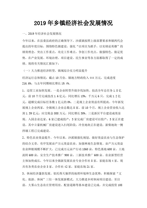 最新-2019年乡镇经济社会发展情况 精品