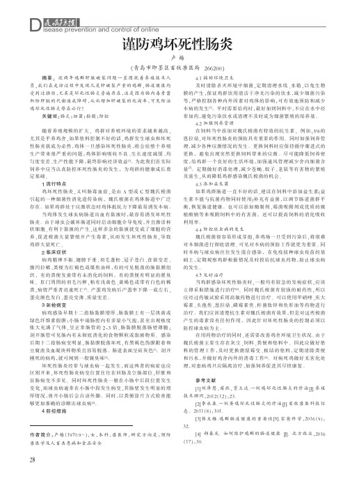 谨防鸡坏死性肠炎