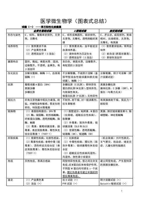 医学微生物学(图表式总结)