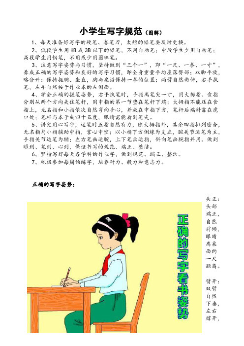 小学生写字规范图解模板