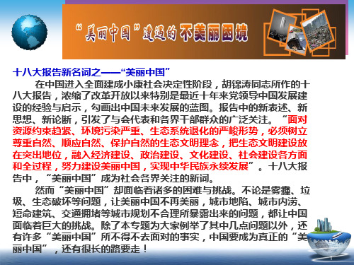 美丽中国的困惑-中国城市化问题