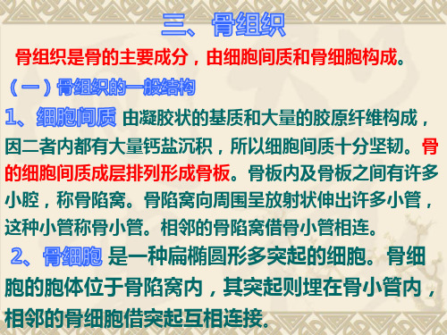 第三章        基本组织    新