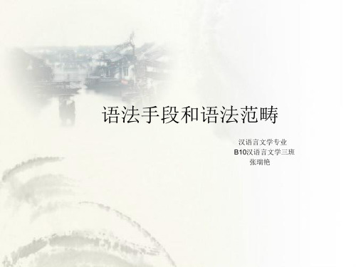 语法手段,语法范畴