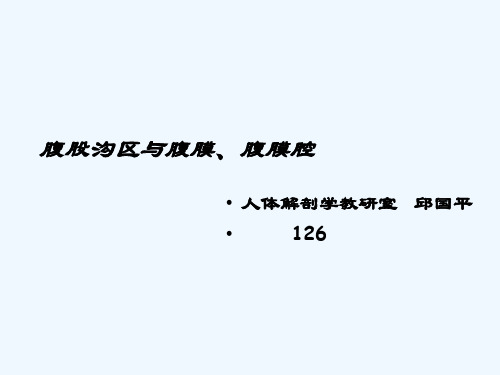 11腹股沟区、腹膜腹膜腔