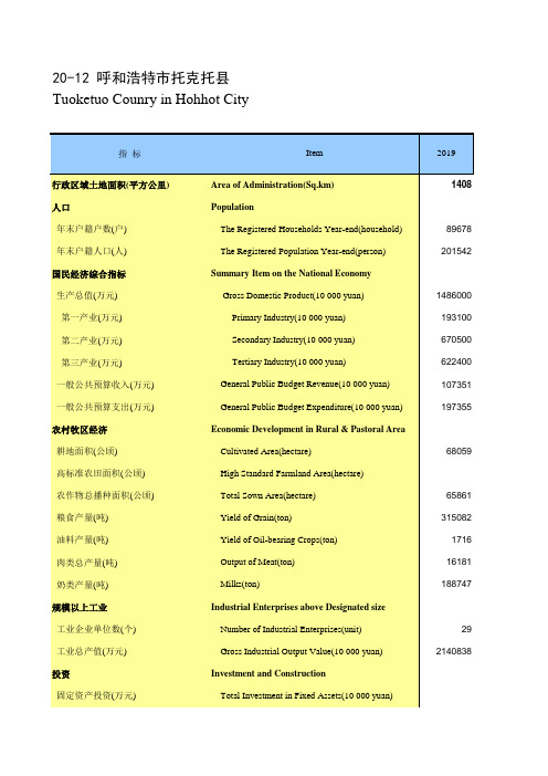 内蒙古统计年鉴2020社会经济发展指标：呼浩特市托克托县
