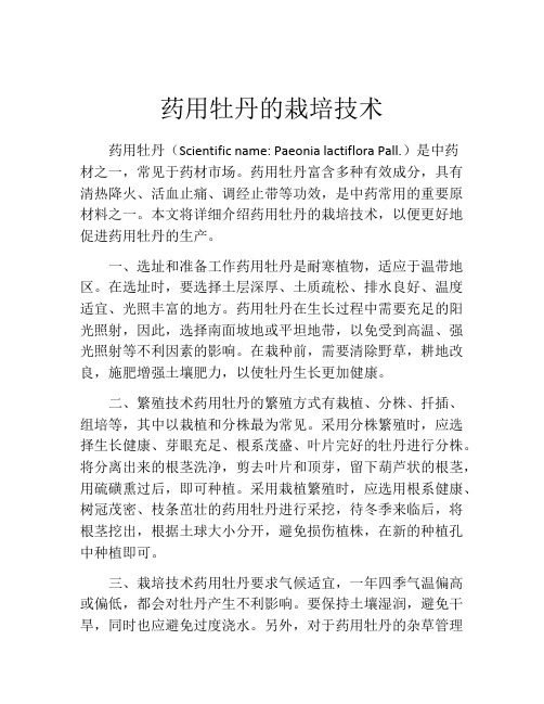 药用牡丹的栽培技术