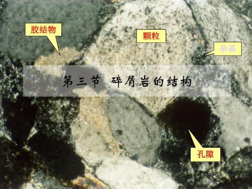 ch03b碎屑岩的结构-y
