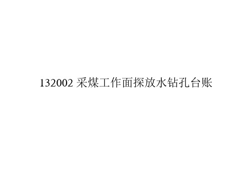 132002采煤工作面探放水钻孔台账