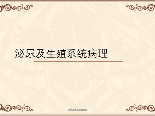 泌尿及生殖系统病理