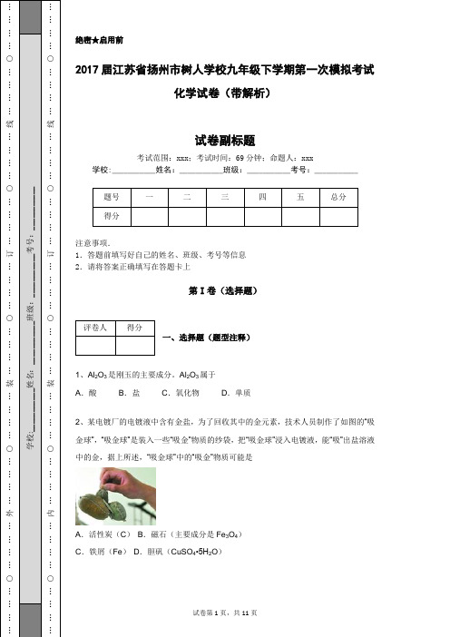 2017届江苏省扬州市树人学校九年级下学期第一次模拟考试化学试卷(带解析)