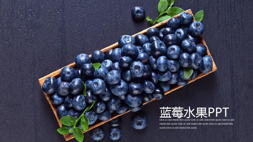 水果蓝莓PPT课件