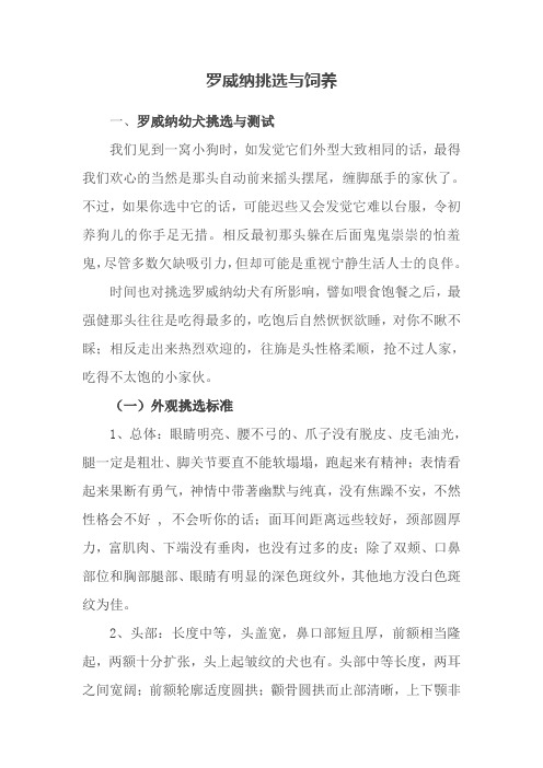 罗威纳饲养大全