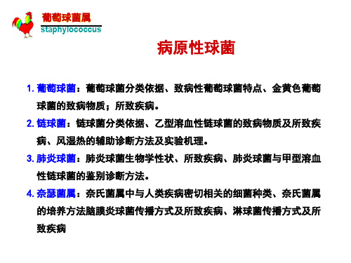 细菌学各论