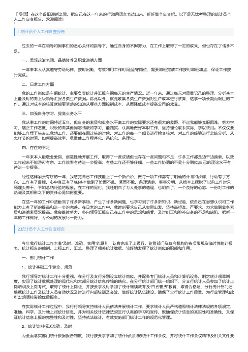 统计员个人工作自查报告10篇