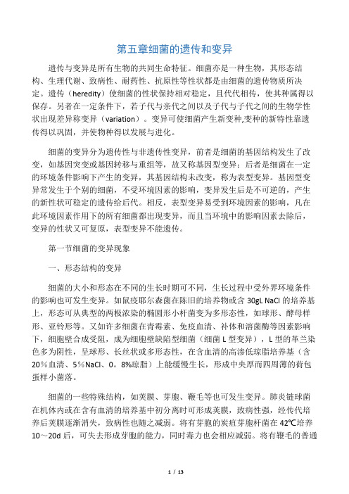 第五章 细菌的遗传和变异