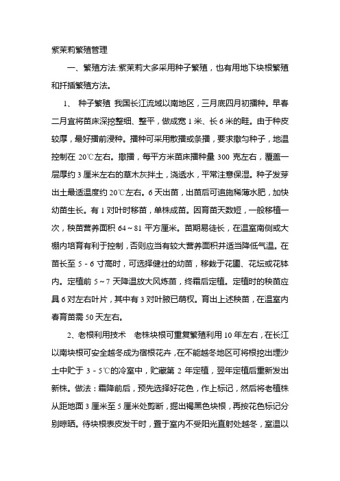 紫茉莉繁殖管理