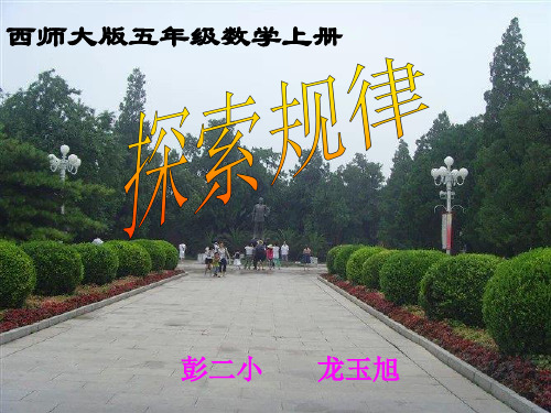 西师大版小学数学五上__探索规律1PPT课件