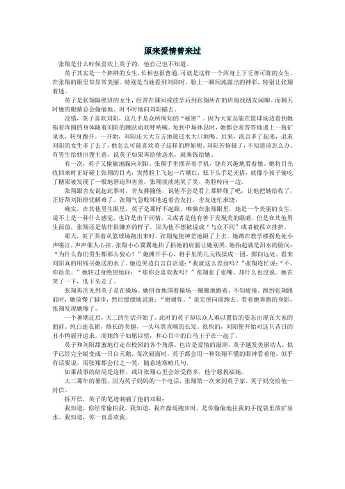 初中语文小小说(人间情缘)原来爱情曾来过