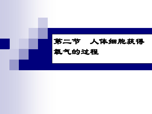 生物七年级下北师大版10-2人体细胞获得氧气的过程课件2(40张)