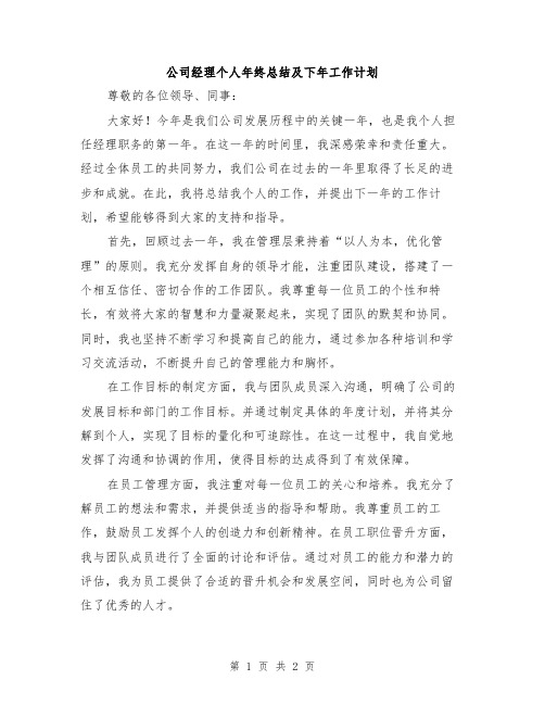 公司经理个人年终总结及下年工作计划