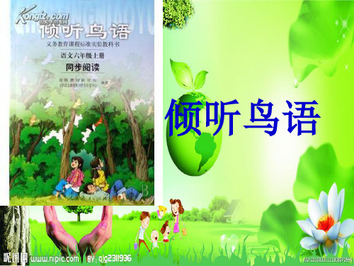 倾听鸟语